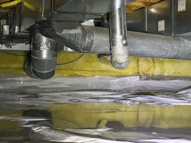 Best Sewage cleanup and water damage restoration  in Clayton, NM