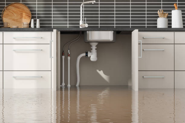 Best Professional water damage repair  in Clayton, NM