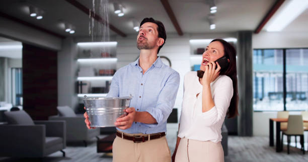 Best 24-hour water damage restoration  in Clayton, NM